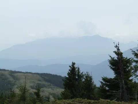20140414153446-9b09139b-ed3ce2970a