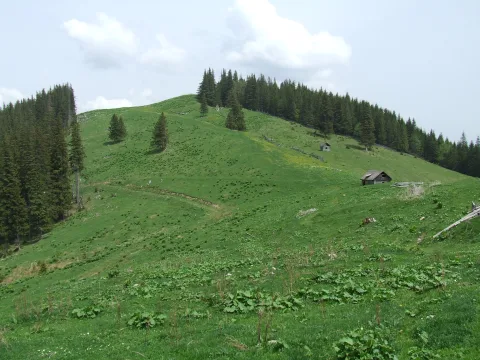 20140414153533-44189502-7ac07d51d1