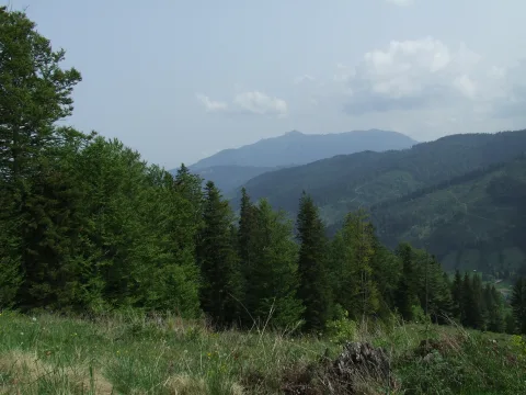20140414153639-be7ce308-830786d9f8