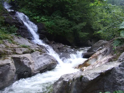 20140415105514-49aa7d08-03285fbf77