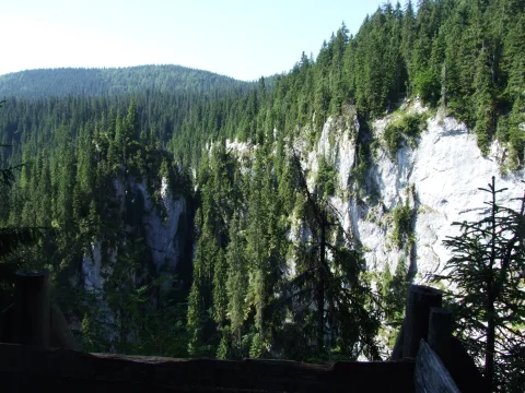 20140415110203-f2b8a8bf-9b62e064a4