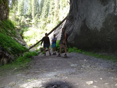 20140415111535-67c778dc-7a96bd0788