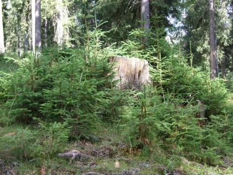 20140415112221-650acea7-33ca58c879