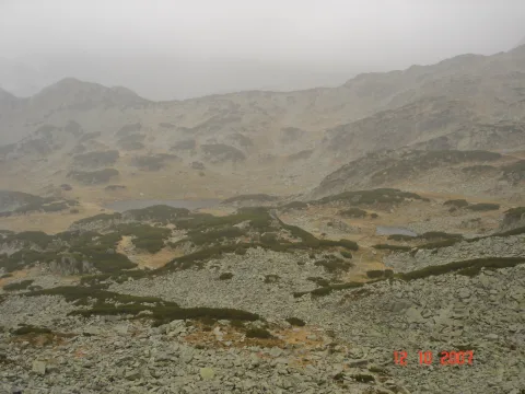 20140416150027-f2987755-318166fff0