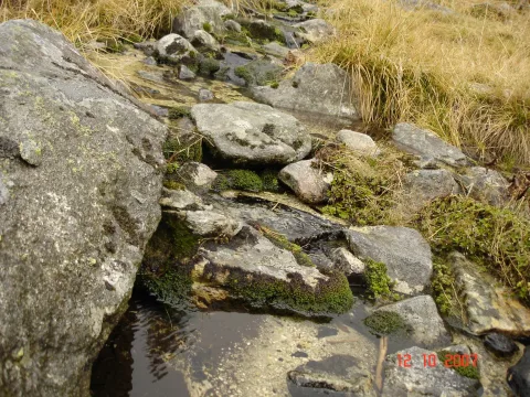 20140416150324-c62ce300-49e036080c