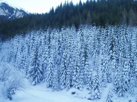 20140416152755-a867c863-8408794969