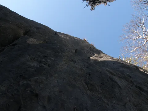 20140416165458-c5d69514-60c961fd64