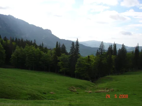 20140416170952-8564da65-196d71da18