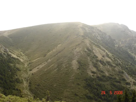 20140416171029-cc181dd4-36b6934509