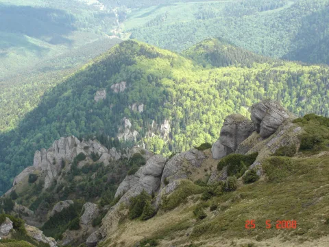 20140416172032-24559283-6384f82509