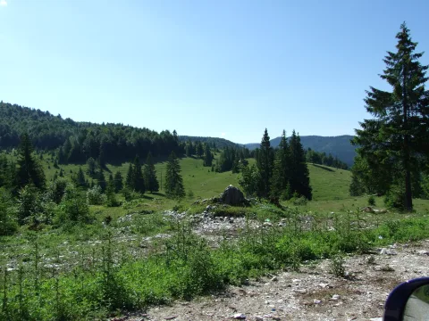 Cheile Galbenei
