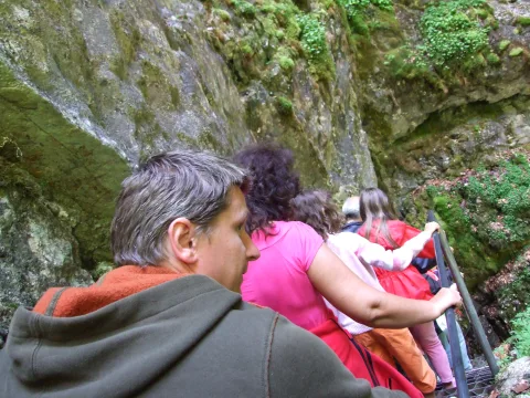 20140416180354-6d9b7c6c-769c5f759f