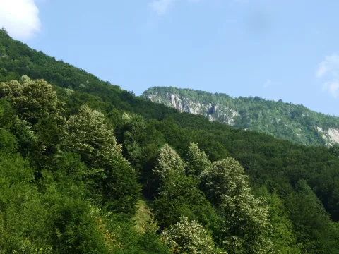 20140416181252-3edc7756-5d9f1c35f6