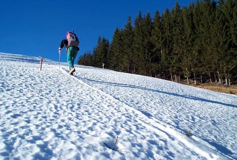 20140403140355-f1cb0919-f3a3d92c9b