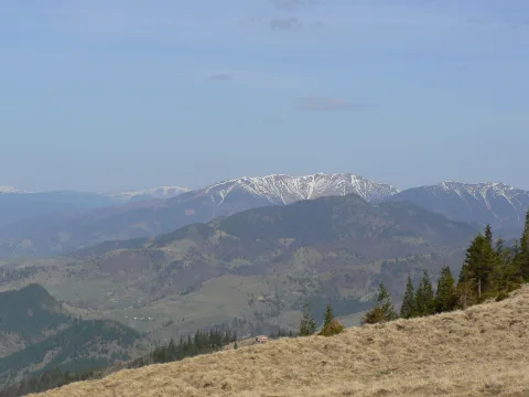 20140418142337-cb0b0ef8-b05ac586ac