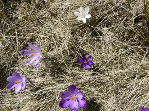 20140418142349-6452d716-3092f01ac9