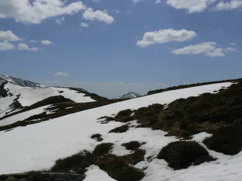 20140418142451-e237358f-7ca5635f72