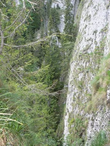 20140418145134-9664e257-4d1e727ef3