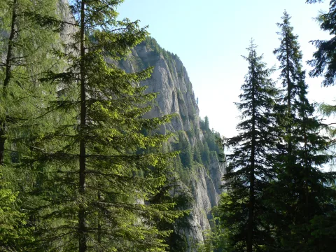 20140418145634-6bc16f5e-2e04edc77b
