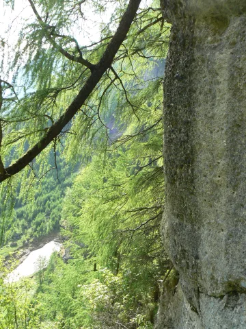 20140418144203-b6681653-28dc9ce2bb