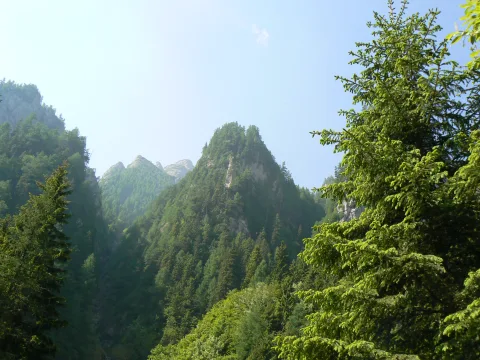 20140418144312-2f1edbf6-94d199c5e3