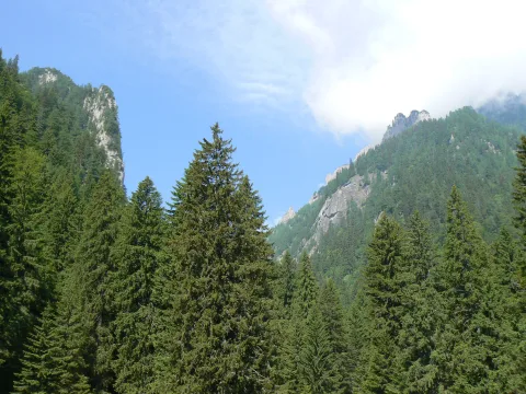 20140418144327-03d26321-329dc10e8b