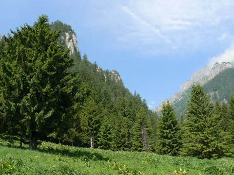 20140418144345-34719986-01aa12bda3