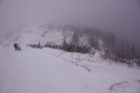 20140418154921-d0107b96-9c3c17cbb2