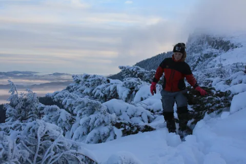 20140418161101-39ef1490-f93222fa76