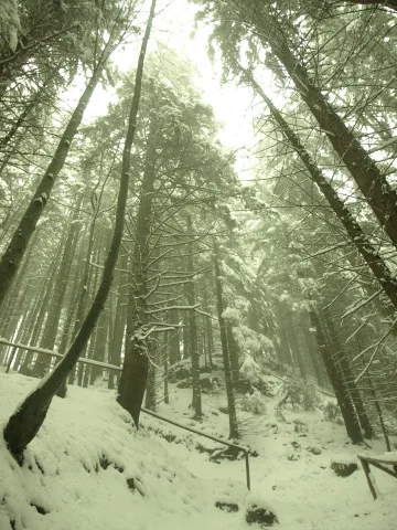 20141026145859-7ad27687-c9c25b2510