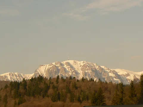 Schi de tura