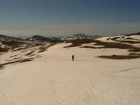 Schi de tura