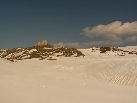 Schi de tura