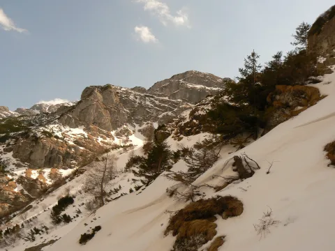 20140408195508-904e7ac3-e621bcb314
