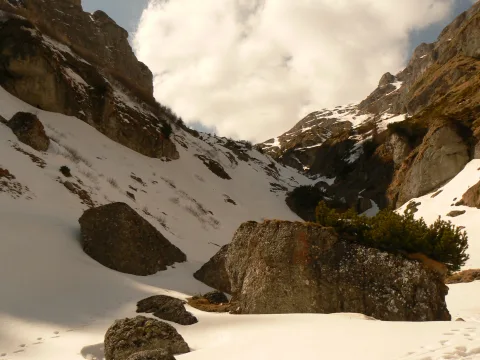 20140408195653-aed24ecd-2dee1cdbea