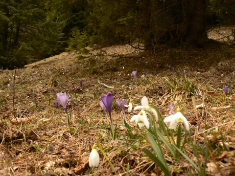 20140408200439-96c73847-18e2032db8