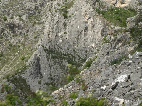 20141026171858-5b875908-305c697453
