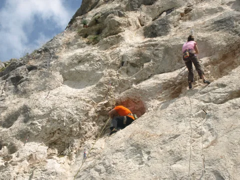 20141026171958-53b50acb-9eb8d884f0
