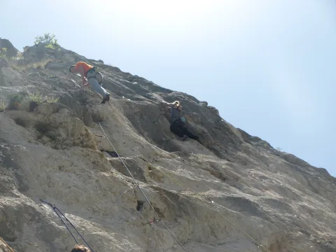 20141026181952-4606e3b7-0275248487