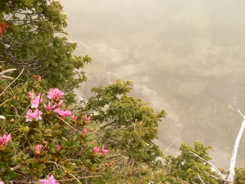 20141121202652-006e54ac-e57de00e28