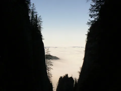 20141121213833-92e4ce82-dd49a20211
