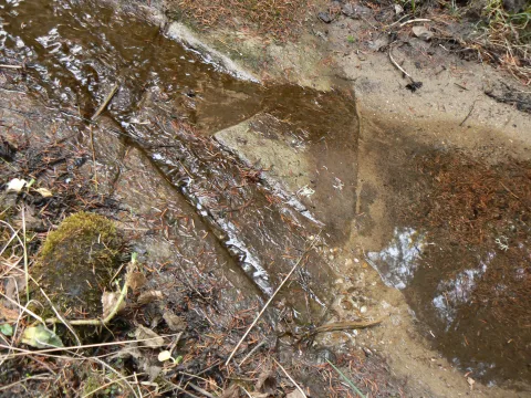 20141121214205-1f3ed131-f7168ba3f2