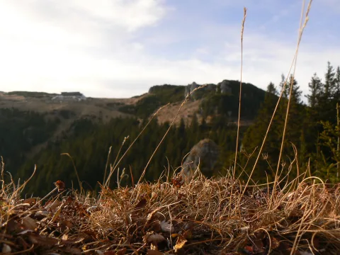 20141121215533-90259809-7f0fd19bcb