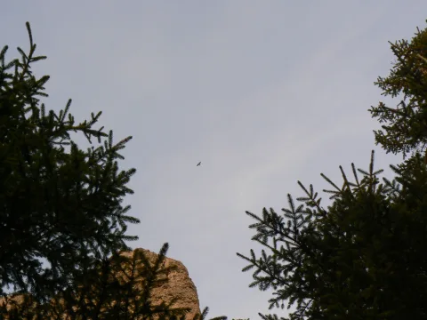 20141121220017-1119a4f5-6167e2e0bc