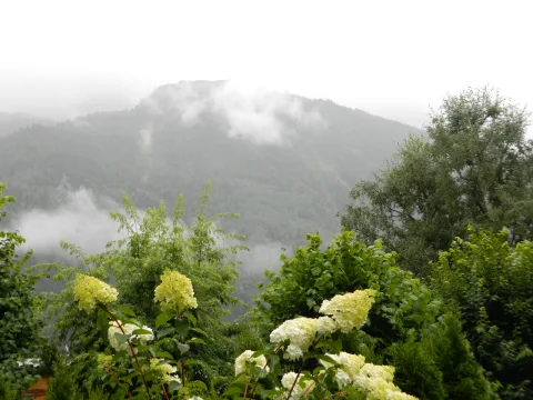 dscn0214-1