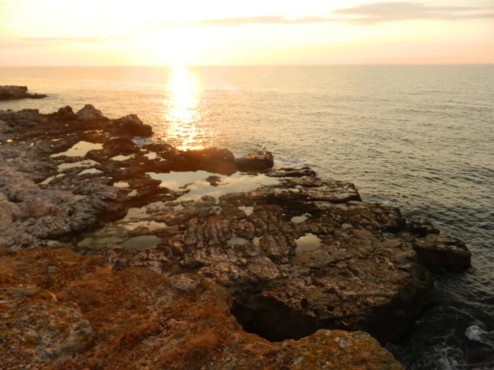 dscn0280-1