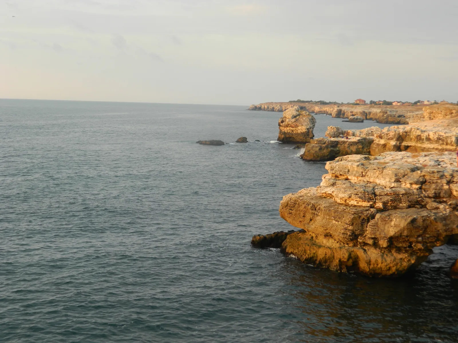 dscn0283-1
