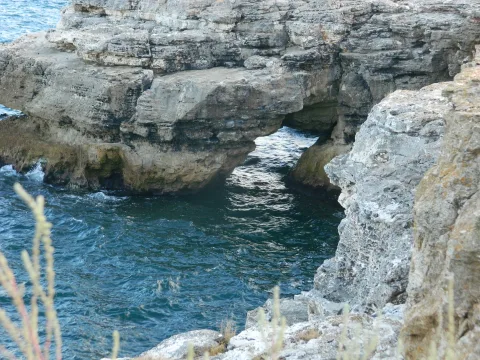 dscn0444-1
