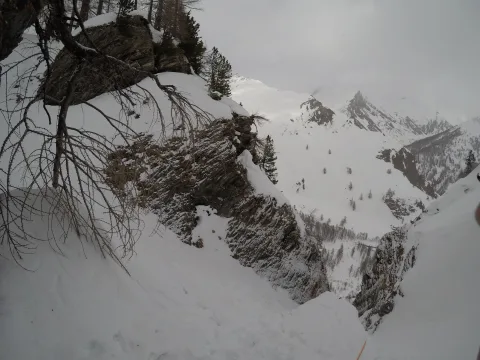 g0130657