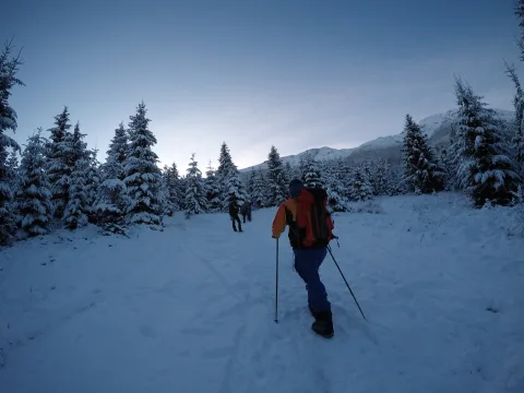 Piciorul Mosului - Rodnei